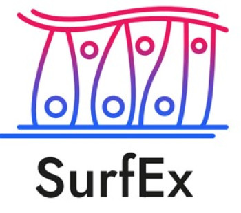 SurfEx logo/