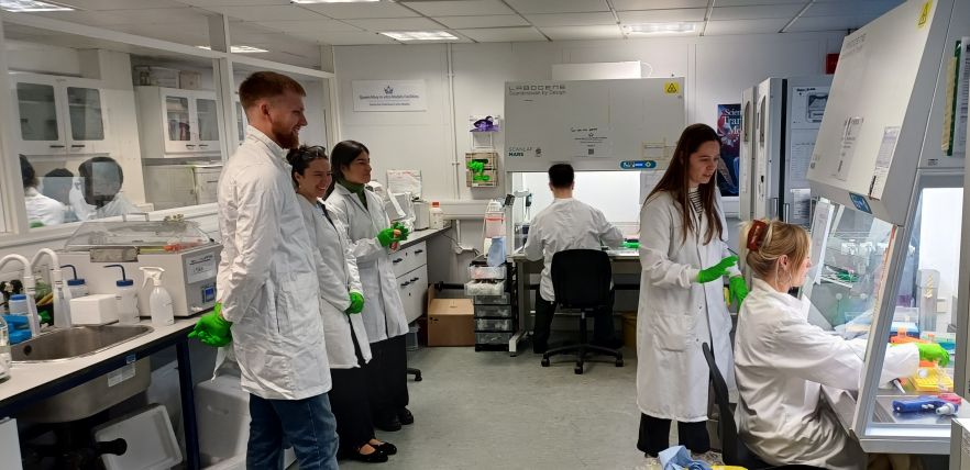 Students working in the lab
