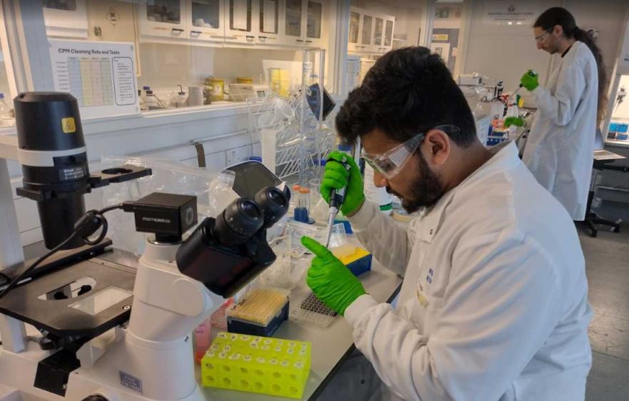 training in in vitro models