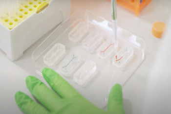 Organ-chips at QMUL