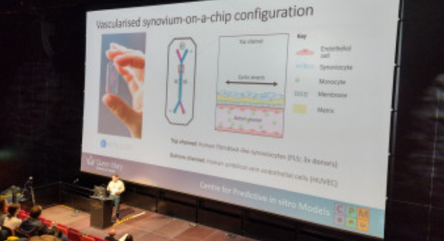 Speaker presenting at the UK organ-chip annual symposium