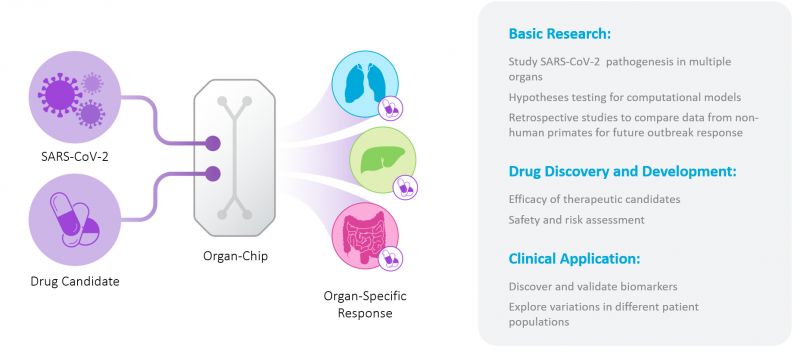 Use of Emulate chips for covid19 research