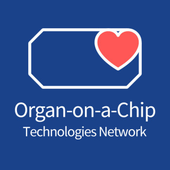 Image: organ on a chip network