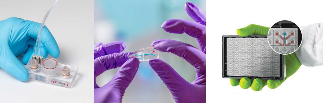 Different organ-chips available at the Centre
