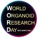 Organoid Spheroid.com and World Organoid Research Day+