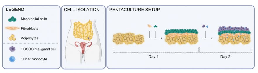 Schematic illustrating pentaculture setup