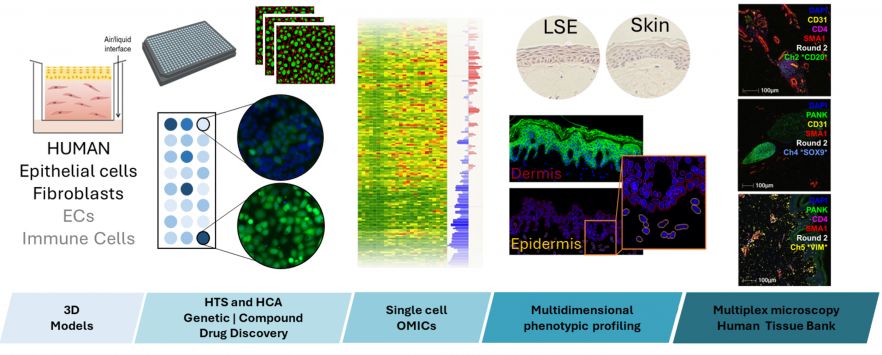 Schematic of 3D model and integrated pipelines for drug discovery programmes and mechanistic studies. 