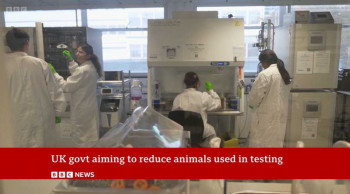 Filming of PhD students and Post-Docs in the organ-on-a-chip facilities