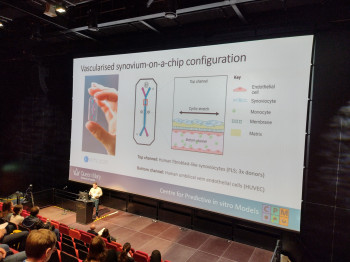 Organ-chip presentation from QMUL