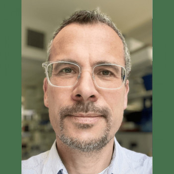 Marco Gerlinger