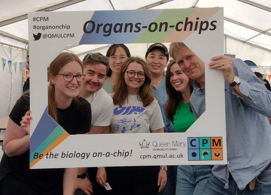 The organ-chip team
