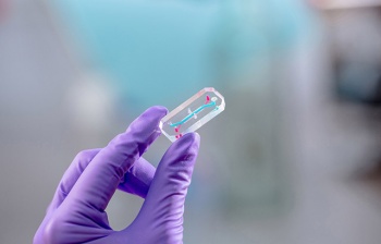 Organ-on-a-Chip device