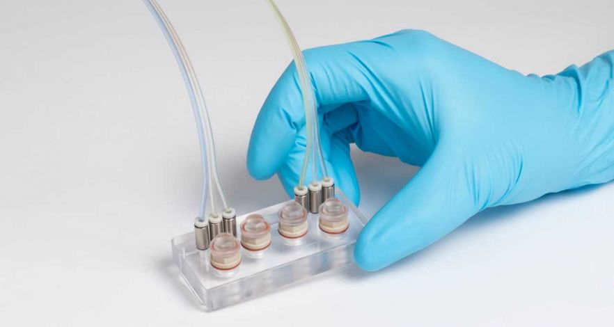TissUse Organ-chip
